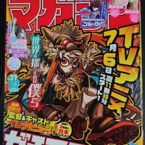 ミスマガジン表紙 週刊少年マガジンNo.31