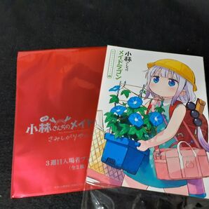 映画 小林さんちのメイドラゴン 入場者特典 3週目 秘密のすぺしゃるコミック
