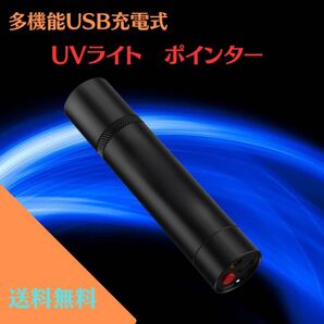 多機能ライト USB充電式 懐中電灯 ブラックライト ポインター 軽量 ステンレス製