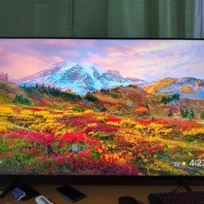 チューナーレステレビ FPD 4k ミニLED 50インチ