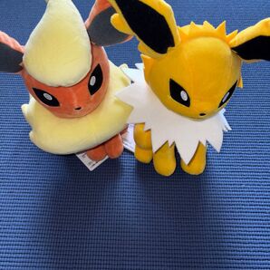 ポケットモンスター もふぐっとぬいぐるみ イーブイフレンズサンダース ブースター カテ変可