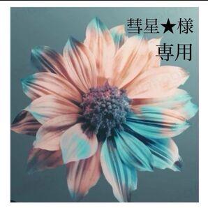 彗星様 専用