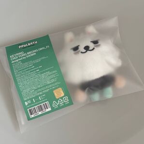 TOMORROW X TOGETHER PPULBATU ヨンモン キーリング