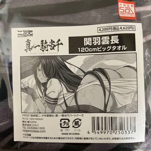 真・一騎当千 関羽雲長 120cmビッグタオル