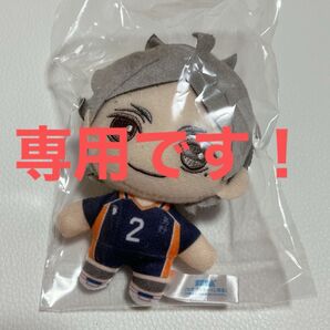 ハイキュー セガラッキーくじ ぬいぐるみマスコット Pastel Art Collection 菅原孝支