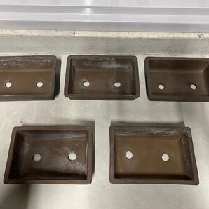 盆栽鉢 長方 鳥泥 5点セット 小品盆栽 松盆栽 雑木 寄せ植え 多肉植物 山野草 松柏 花 盆栽 園芸 サボテン 鉢 植木鉢