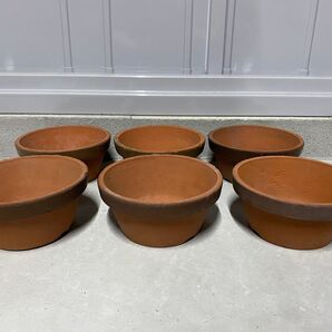植木鉢 素焼き 5号 6点セット 小品盆栽 観葉植物 多肉植物 山野草 草花 花 雑木 松盆栽 松柏 盆栽 ガーデニング 盆栽鉢