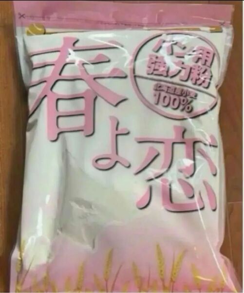 国産強力粉 春よ恋 1kg 北海道産 小麦粉 パン作り