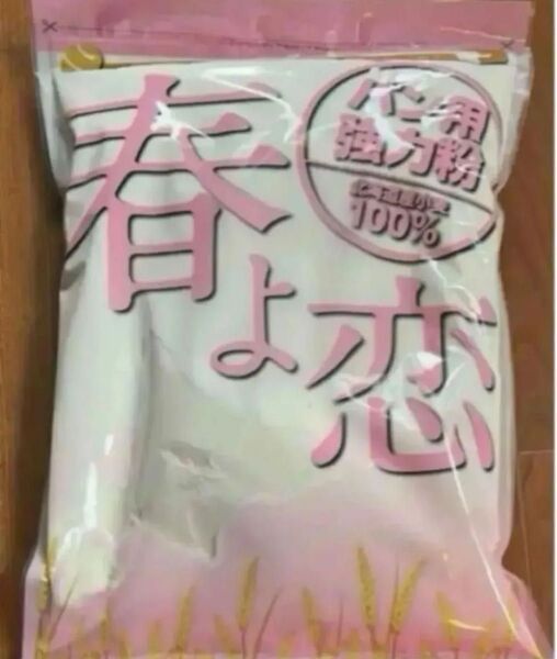 国産強力粉 春よ恋 1kg 北海道産 小麦粉 パン作り