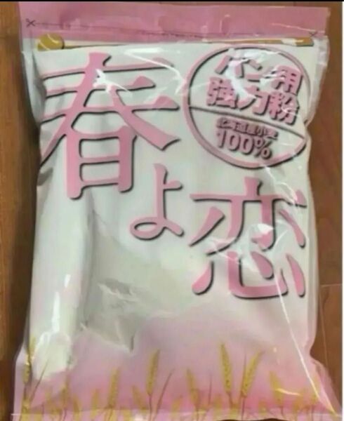 国産強力粉 春よ恋 1kg 北海道産 小麦粉 パン作り