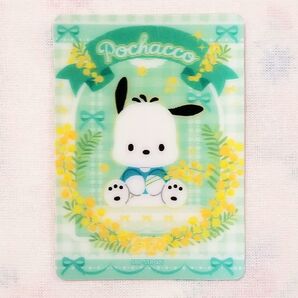 ポチャッコ サンリオ 3Dカード カード 立体的