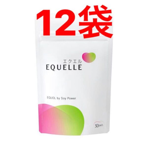 大塚製薬 エクエル パウチタイプ 120粒 12袋 EQUELLE ekueru エクオール含有食品