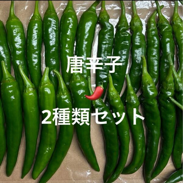 【農薬不使用】唐辛子 2種類セット(100g)