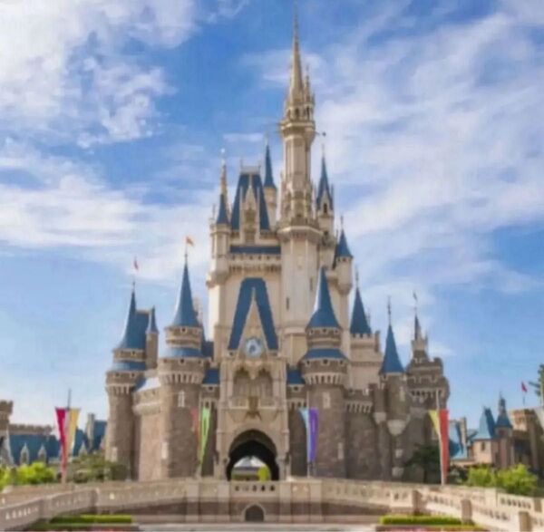 東京ディズニーリゾート 1デーパスポート 1000円引 10枚まで チケット パスポート ランド シー