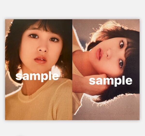 C 松田聖子写真 L判2枚