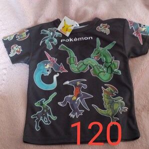 【120サイズ新品未使用】レッグゥザ ポケモン ボーイズ 半袖シャツ Tシャツ