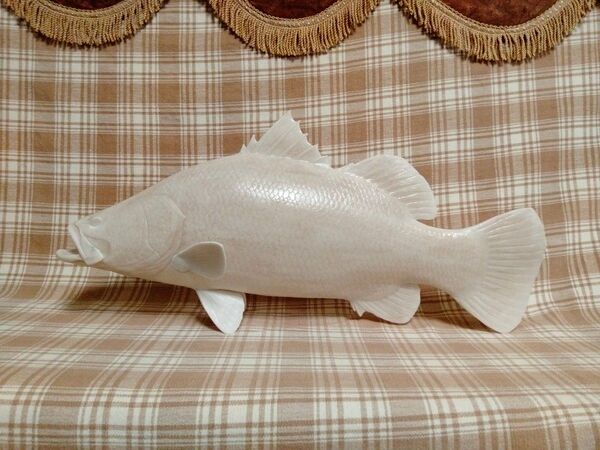ハンドメイド 50cmアカメ 魚模型 フィギュア レプリカ 未塗装 ガレージキット 釣り