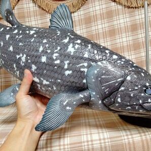 ハンドメイド 61cmシーラカンス フィギュア レプリカ オブジェ 置物 化石魚 古代魚 fish craft REAL