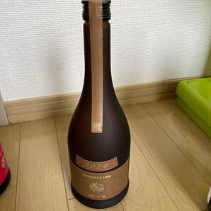 新政 アース 2025.6出荷
