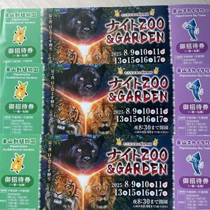 東山動物園&スカイタワー入場券3枚