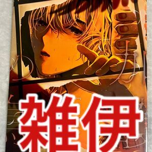 忍たま乱太郎 同人誌 雑伊 雑渡昆奈門 善法寺伊作