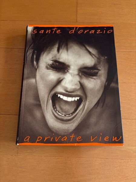 値下げ!希少 写真集 Sante D'orazio A Private View サンテ・ドラジオ アートブック
