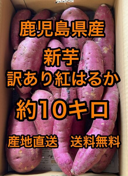鹿児島県産 新芋 訳あり紅はるか 箱込 約10キロ