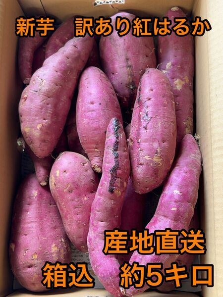鹿児島県産 新芋 訳あり紅はるか 箱込5キロ