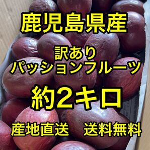 鹿児島県産 産地直送訳ありパッションフルーツ 約2キロ