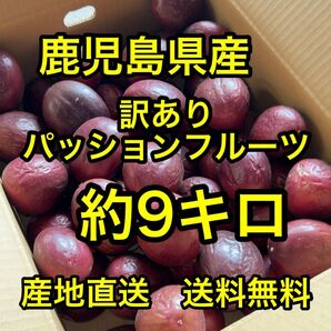 鹿児島県産 産地直送訳ありパッションフルーツ 約9キロ