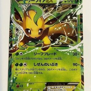 リーフィアEX プロモ (192/XY-P) XY BREAK バトル強化セット 草/闘