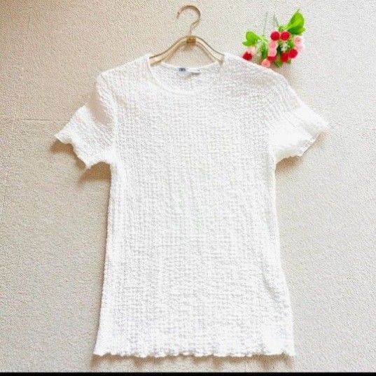 j22●ZARA 白 半袖 ニット カットソー Tシャツ 送料込 半袖Tシャツ ザラ ホワイト