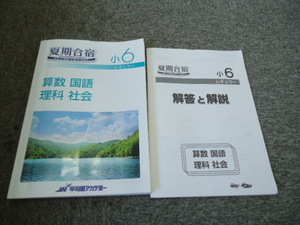 送料無料！2018年度版　早稲田アカデミー　6年　小6 　夏期合宿（レギュラー）テキスト　国算理社　中古