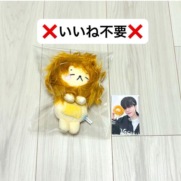 treasure PLUSH DOLL ジェヒョク トレカ付き