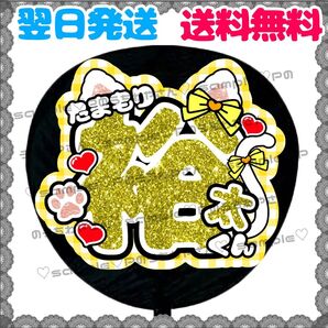 【YN045b1】玉森裕太/うちわ文字/貼るだけ/カット済み/名前団扇/文字パネル/ファンサ/コンサート/ライブ/規定内