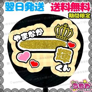 ゆかり様専用【YN217a1】