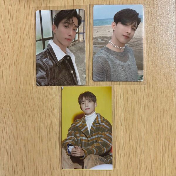 SEVENTEEN セブチ ドギョムトレカ 店舗特典 Attaca あいのちから