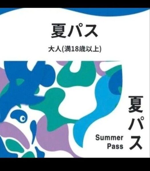 EXPO2025 大阪万博 大人 夏パス チケット 入場券