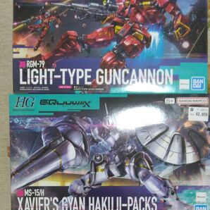 HG 機動戦士ガンダム 軽キャノン エグザベ専用ギャン GQuuuuuuX