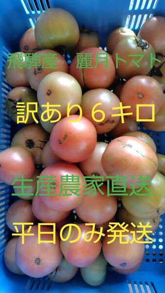 飛騨産 麗月トマト6キロ訳あり 生産農家直送