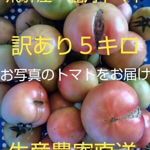 飛騨産 麗月トマト5キロ訳あり 生産農家直送