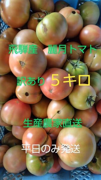 飛騨産 麗月トマト5キロ訳あり 生産農家直送