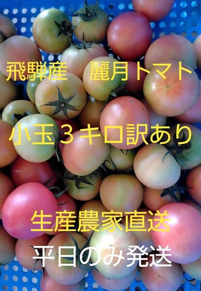 飛騨産麗月トマト小玉3キロ訳あり 生産農家直送