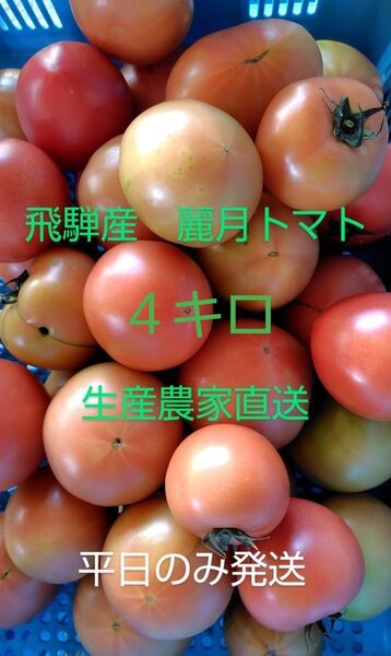 飛騨産 麗月トマト4キロ 生産農家直送