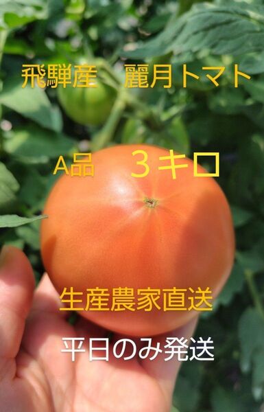 飛騨産 麗月トマトA品3キロ 生産農家直送