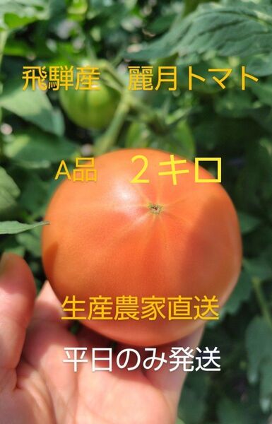 飛騨産 麗月トマトA品2キロ 生産農家直送