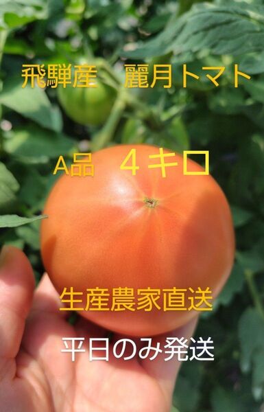飛騨産 麗月トマトA品4キロ 生産農家直送