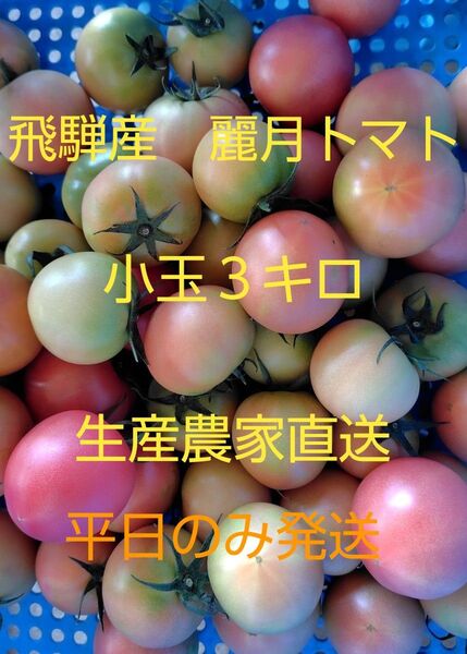 飛騨産 麗月トマト小玉3キロ 生産農家直送