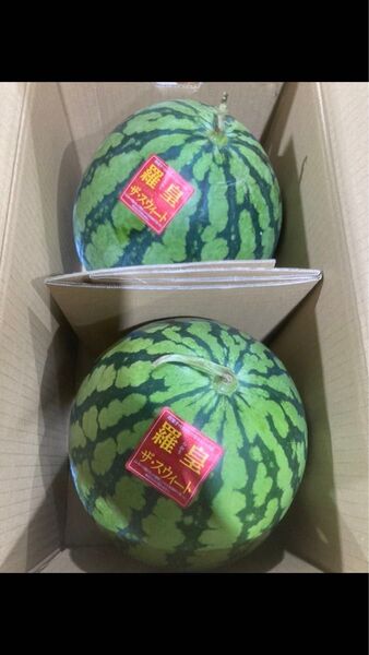 羅王スイカ M〜L 2玉 箱入り 本日ラスト