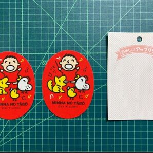 みんなのたあ坊 サンリオ レトロ アップリケ アイロン 接着 ワッペン 平成レトロ
